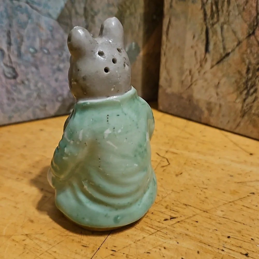 Royal Albert Beatrix Potter- Samuel Whiskers Salt and Pepper Shakers - Picture 7 of 8